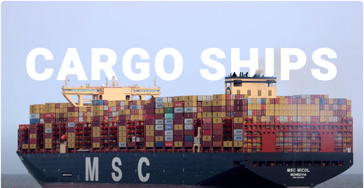 Breaking Down the Numbers and Types of Cargo Ships